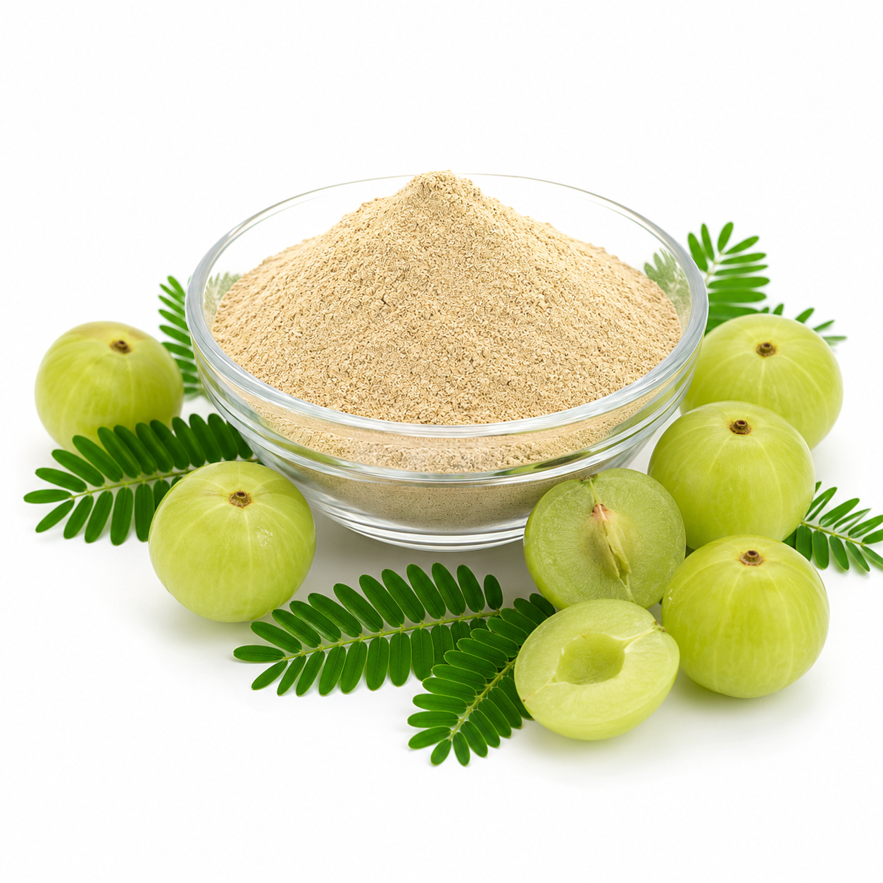Natural Amla Powder Bulk Supplier and Exporter from India